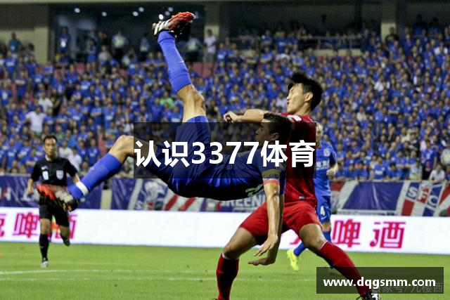 认识3377体育